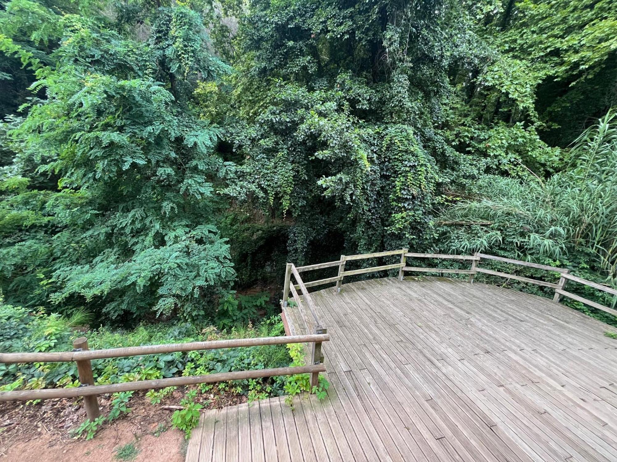 Apartamento El Mirador De La Farga アルブシエス エクステリア 写真